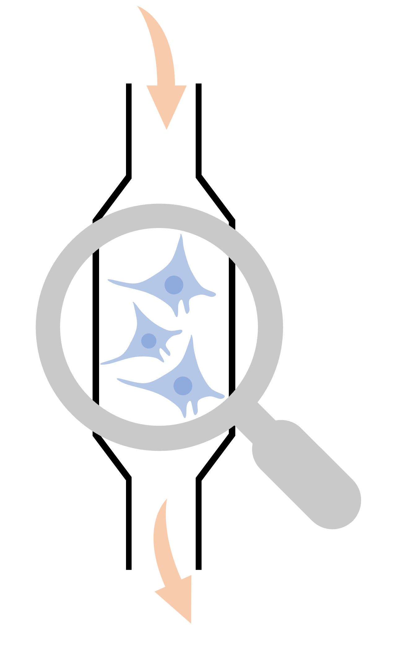 Bild von Technologien zur Optimierung von Implantaten